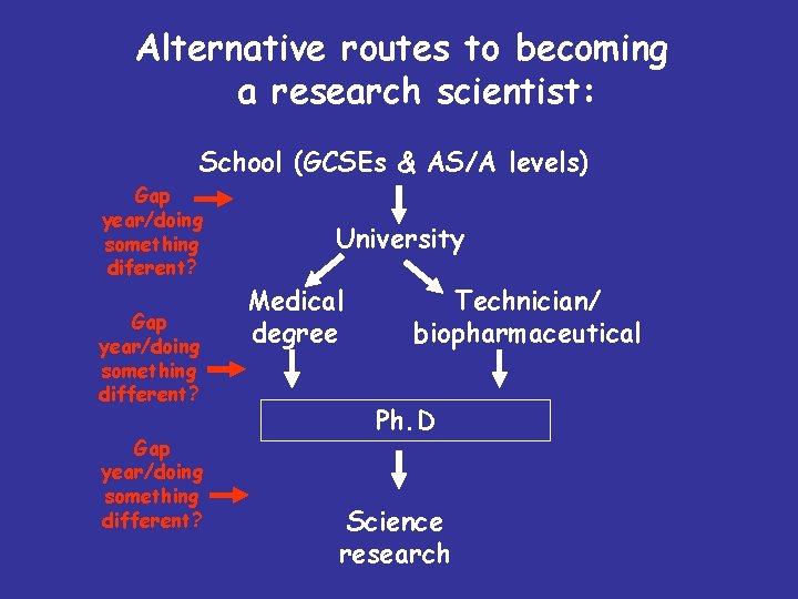 Alternative routes to becoming a research scientist: School (GCSEs & AS/A levels) Gap year/doing
