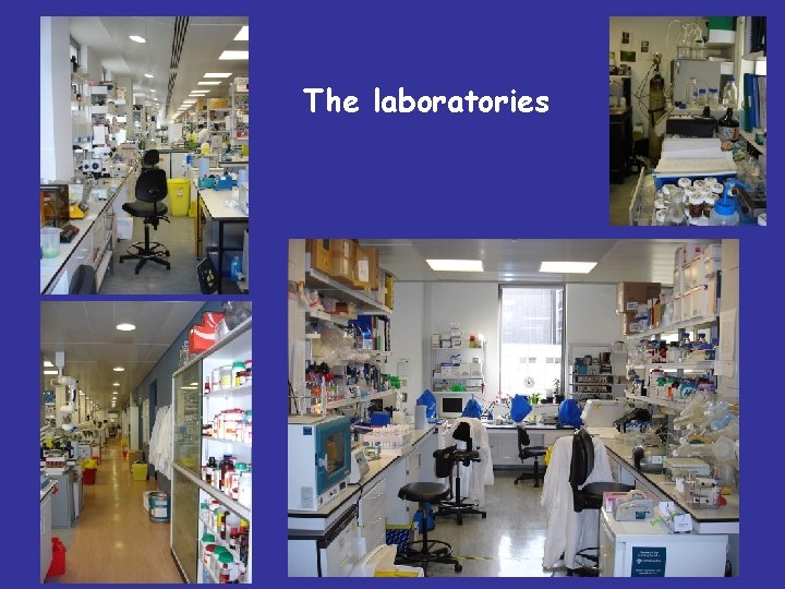 The laboratories 
