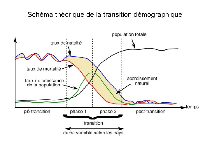 Schéma théorique de la transition démographique 