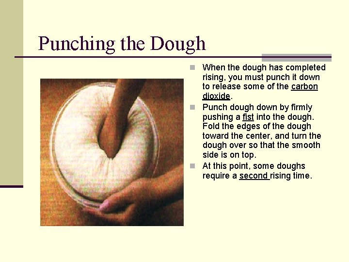 Punching the Dough n When the dough has completed rising, you must punch it