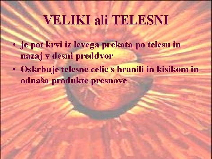 VELIKI ali TELESNI • je pot krvi iz levega prekata po telesu in nazaj