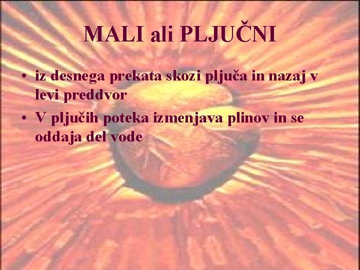 MALI ali PLJUČNI • iz desnega prekata skozi pljuča in nazaj v levi preddvor