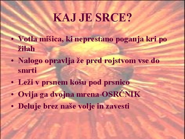 KAJ JE SRCE? • Votla mišica, ki neprestano poganja kri po žilah • Nalogo