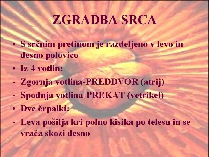 ZGRADBA SRCA • S srčnim pretinom je razdeljeno v levo in desno polovico •