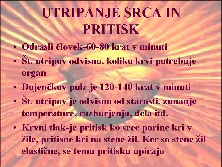 UTRIPANJE SRCA IN PRITISK • Odrasli človek-60 -80 krat v minuti • Št. utripov