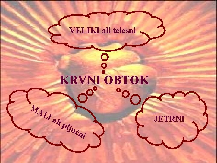 VELIKI ali telesni KRVNI OBTOK MA LI ali plj JETRNI učn i 