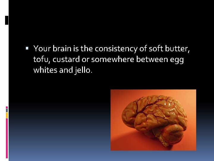  Your brain is the consistency of soft butter, tofu, custard or somewhere between