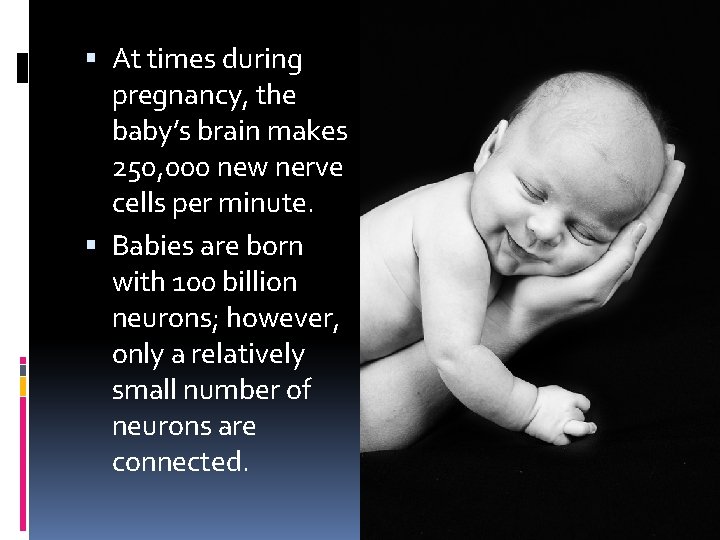  At times during pregnancy, the baby’s brain makes 250, 000 new nerve cells