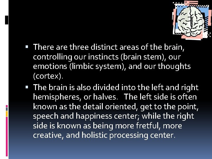  There are three distinct areas of the brain, controlling our instincts (brain stem),