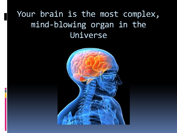 Your brain is the most complex, mind-blowing organ in the Universe 