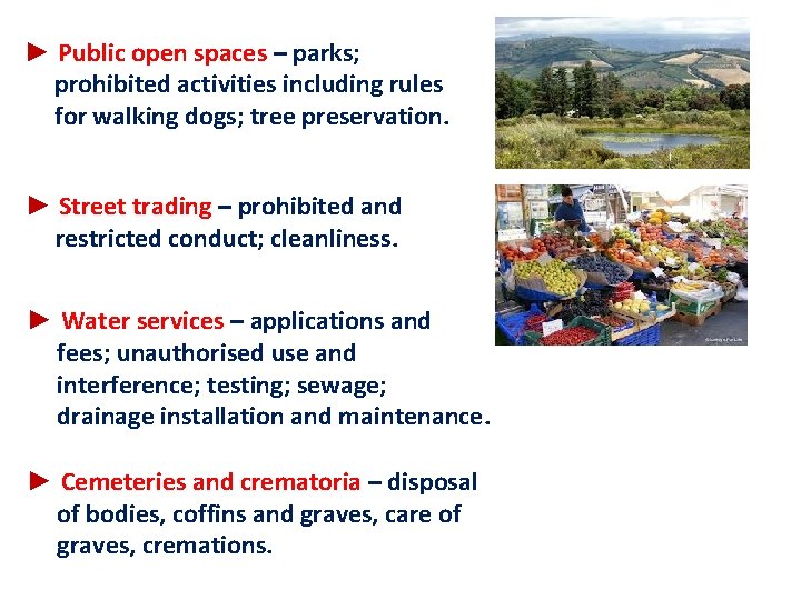 ► Public open spaces – parks; prohibited activities including rules for walking dogs; tree