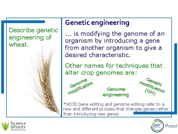 Genetic engineering Describe genetic . . . is modifying the genome of an engineering