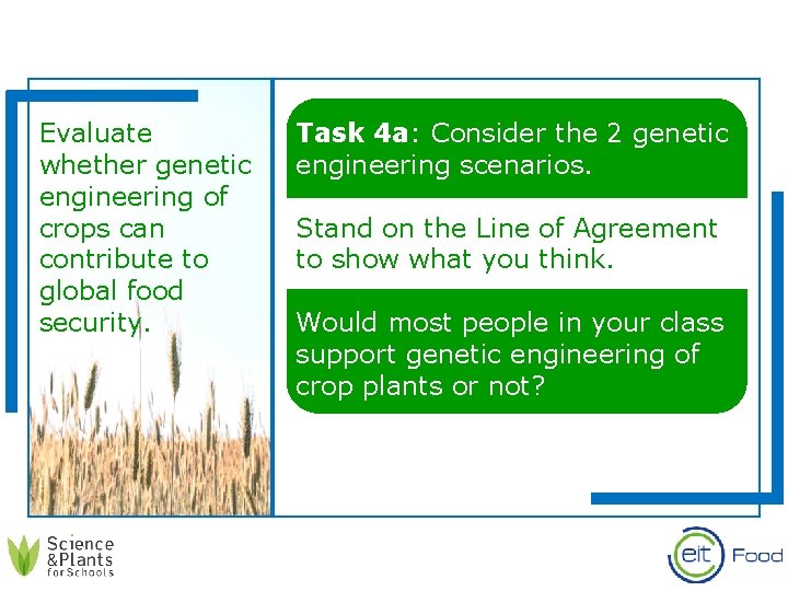 Evaluate whether genetic engineering of crops can contribute to global food security. Task 4
