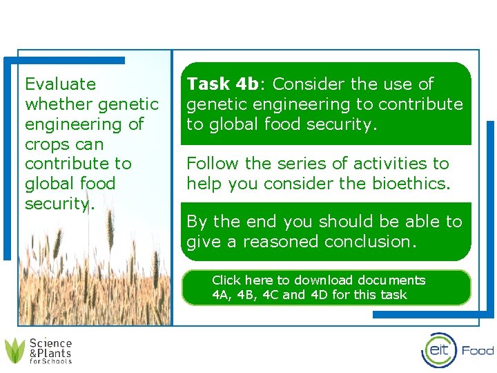 Evaluate whether genetic engineering of crops can contribute to global food security. Task 4