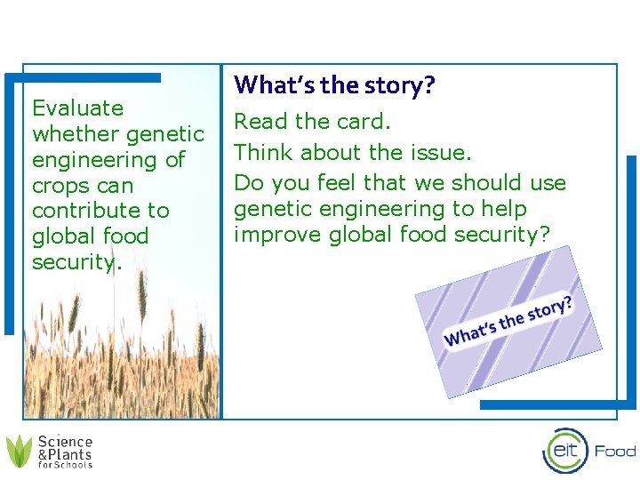 Evaluate whether genetic engineering of crops can contribute to global food security. What’s the