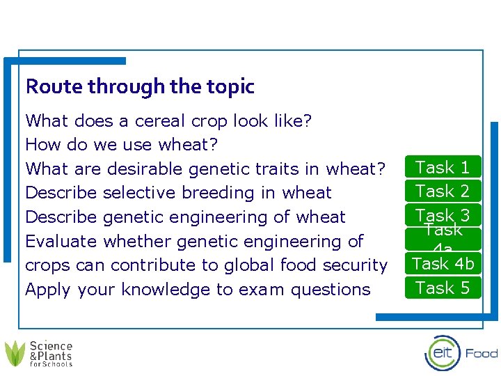 Route through the topic What does a cereal crop look like? How do we