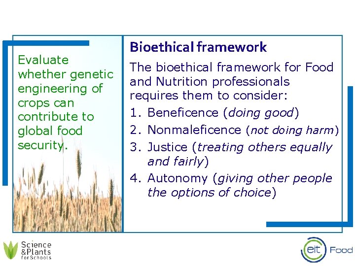 Evaluate whether genetic engineering of crops can contribute to global food security. Bioethical framework