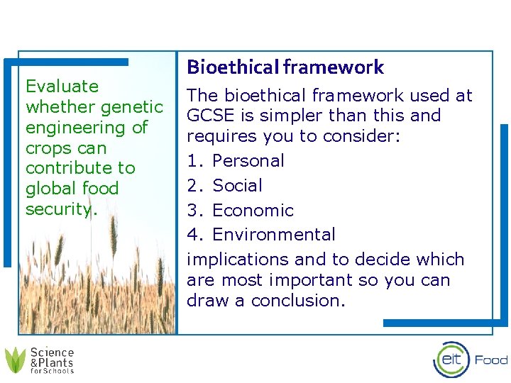 Evaluate whether genetic engineering of crops can contribute to global food security. Bioethical framework