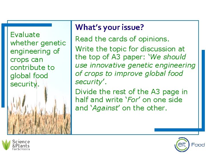 Evaluate whether genetic engineering of crops can contribute to global food security. What’s your