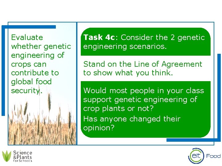 Evaluate whether genetic engineering of crops can contribute to global food security. Task 4