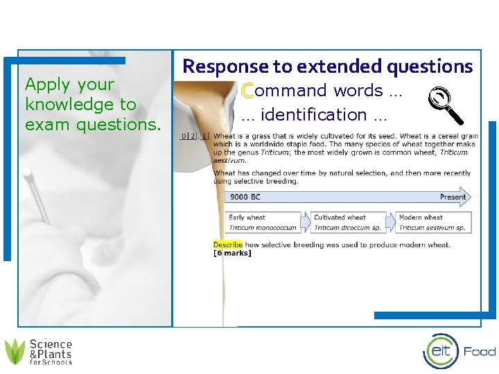 Apply your knowledge to exam questions. Response to extended questions Command words … …