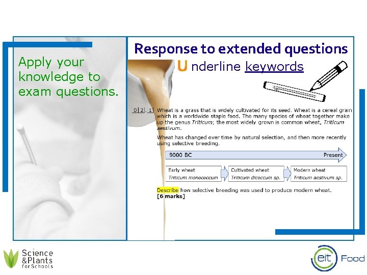 Apply your knowledge to exam questions. Response to extended questions C nderline keywords U