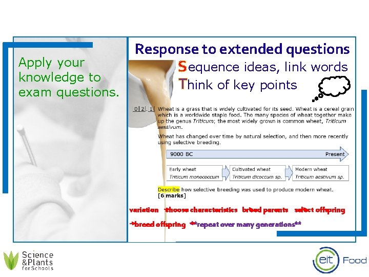 Apply your knowledge to exam questions. Response to extended questions Cequence ideas, link words