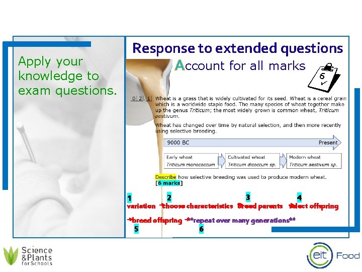 Apply your knowledge to exam questions. Response to extended questions Account for all marks