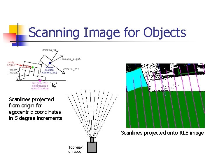 Scanning Image for Objects Scanlines projected from origin for egocentric coordinates in 5 degree