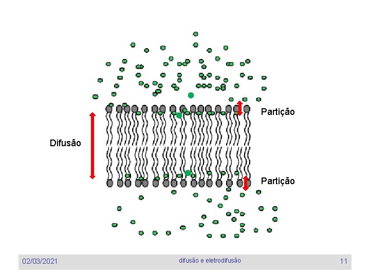 Partição Difusão Partição 02/03/2021 difusão e eletrodifusão 11 