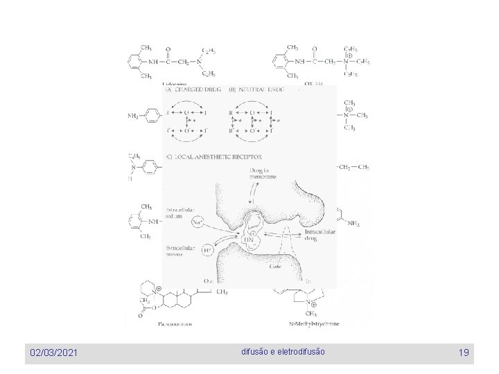 02/03/2021 difusão e eletrodifusão 19 