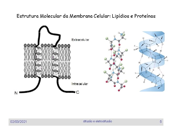 Estrutura Molecular da Membrana Celular: Lipídios e Proteínas 02/03/2021 difusão e eletrodifusão 5 