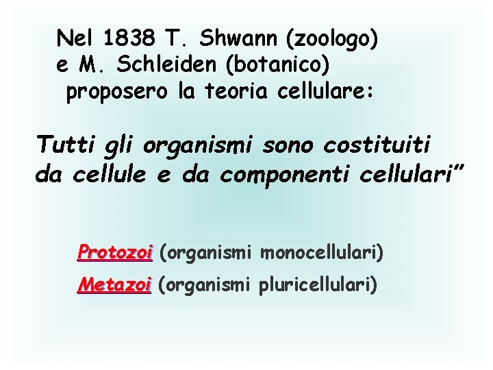 Nel 1838 T. Shwann (zoologo) e M. Schleiden (botanico) proposero la teoria cellulare: Tutti