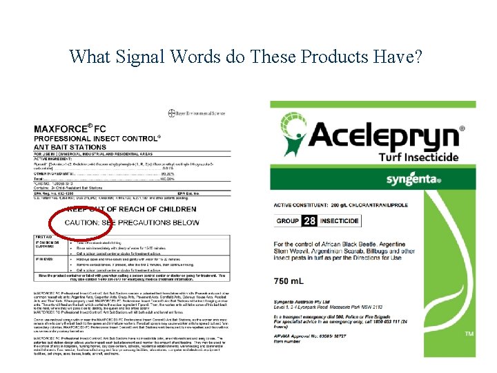 What Signal Words do These Products Have? 