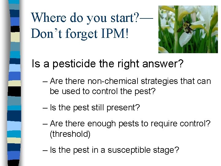 Where do you start? — Don’t forget IPM! Is a pesticide the right answer?