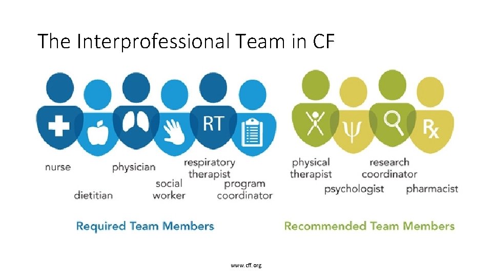 The Interprofessional Team in CF www. cff. org 