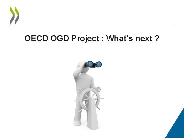 OECD OGD Project : What’s next ? 