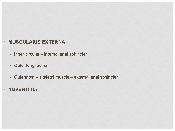  • MUSCULARIS EXTERNA • Inner circular – internal anal sphincter • Outer longitudinal