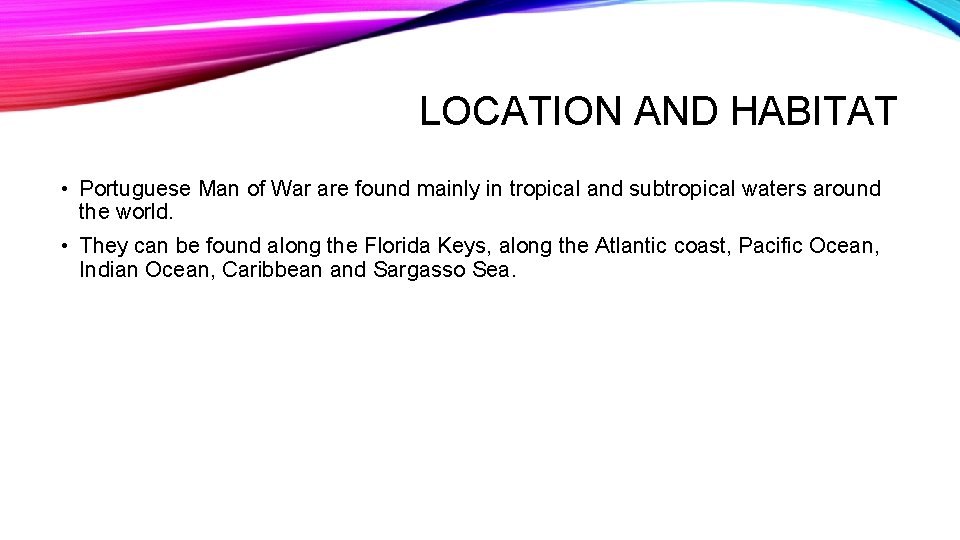 LOCATION AND HABITAT • Portuguese Man of War are found mainly in tropical and