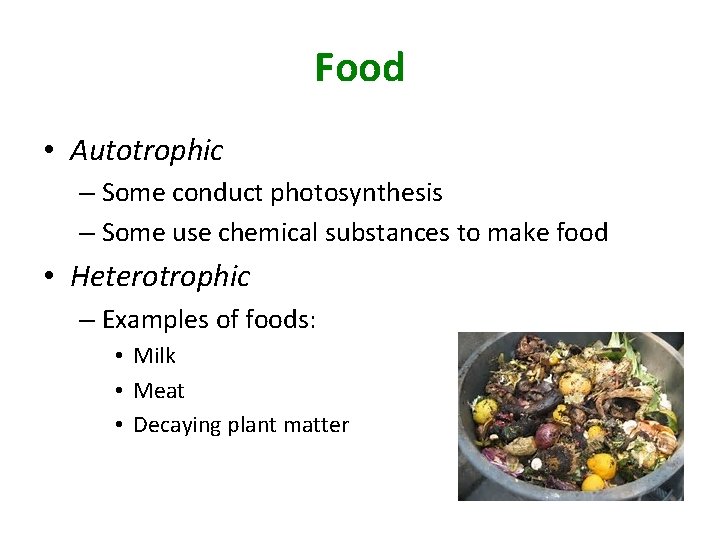 Food • Autotrophic – Some conduct photosynthesis – Some use chemical substances to make