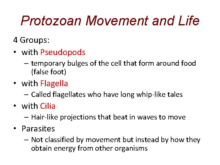 Protozoan Movement and Life 4 Groups: • with Pseudopods – temporary bulges of the