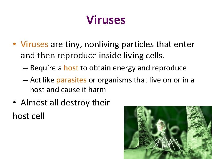 Viruses • Viruses are tiny, nonliving particles that enter and then reproduce inside living