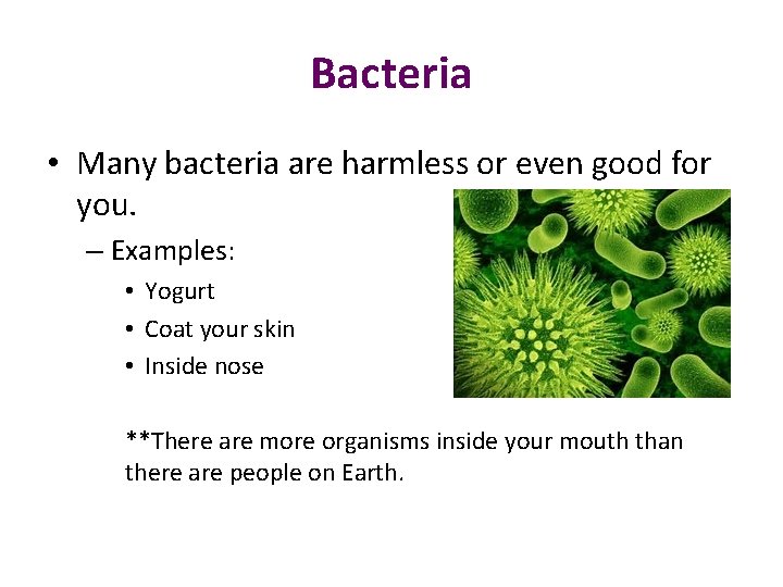 Bacteria • Many bacteria are harmless or even good for you. – Examples: •