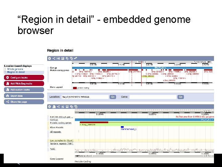 “Region in detail” - embedded genome browser 