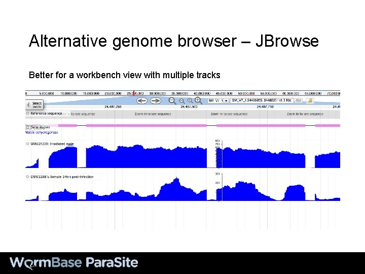 Alternative genome browser – JBrowse Better for a workbench view with multiple tracks 