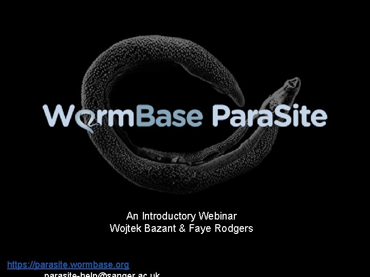 An Introductory Webinar Wojtek Bazant & Faye Rodgers https: //parasite. wormbase. org 
