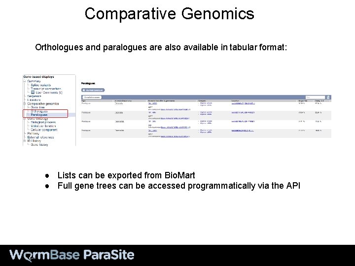 Comparative Genomics Orthologues and paralogues are also available in tabular format: ● Lists can