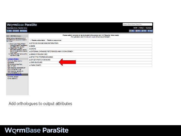 Add orthologues to output attributes 