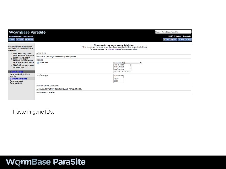 Paste in gene IDs. 