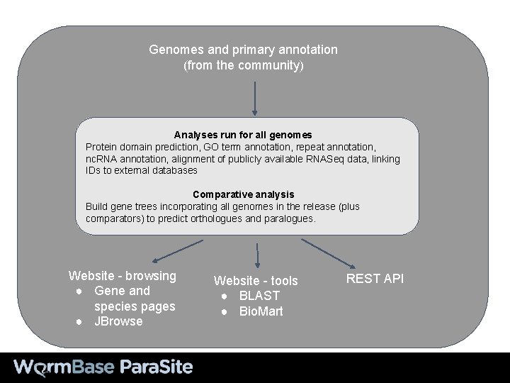 Genomes and primary annotation (from the community) Analyses run for all genomes Protein domain